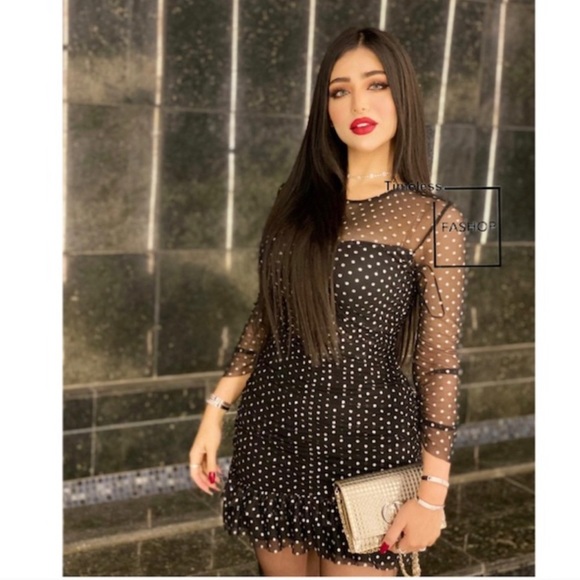 NWT ZARA Tulle Swiss Dot Dress S Blogger Favorite - Picture 3 of 7